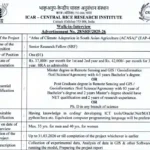 Odisha Agriculture Office Recruitment 2025