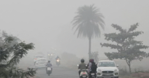 foggy odisha